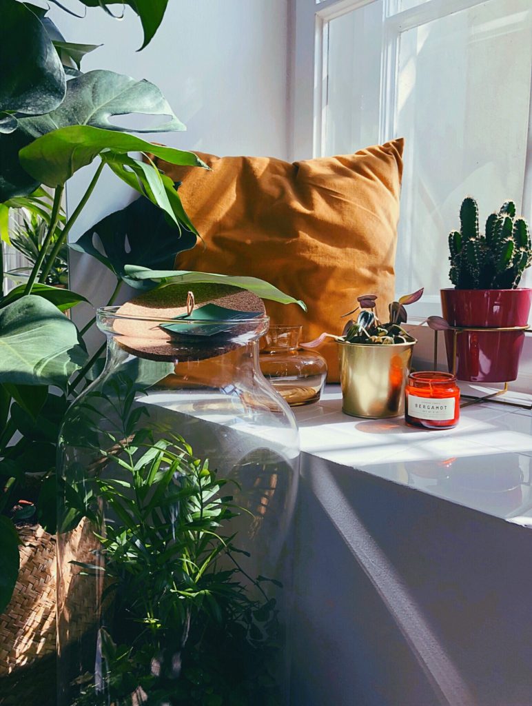 Interior of the Coco Bowls Warsaw